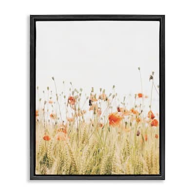 Stupell Poppy Field Photography Framed Floater Canvas Wall Art Design by Krista Broadway