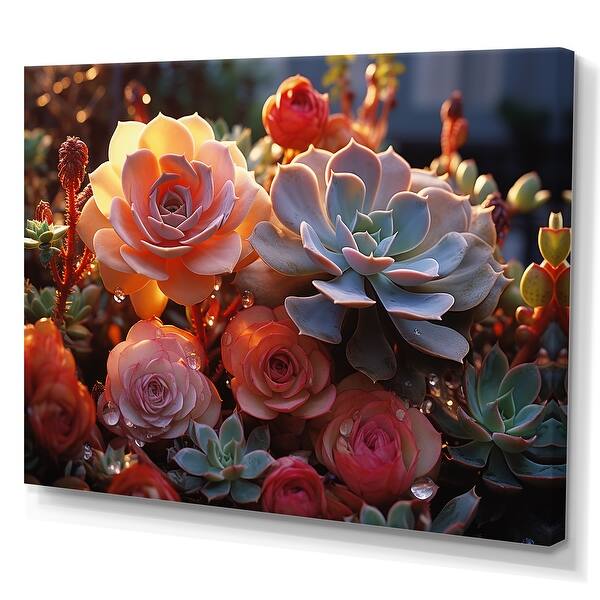 coral reef succulent Echeveria 'Coral Reef' – DesertScapeSucculent main image 1