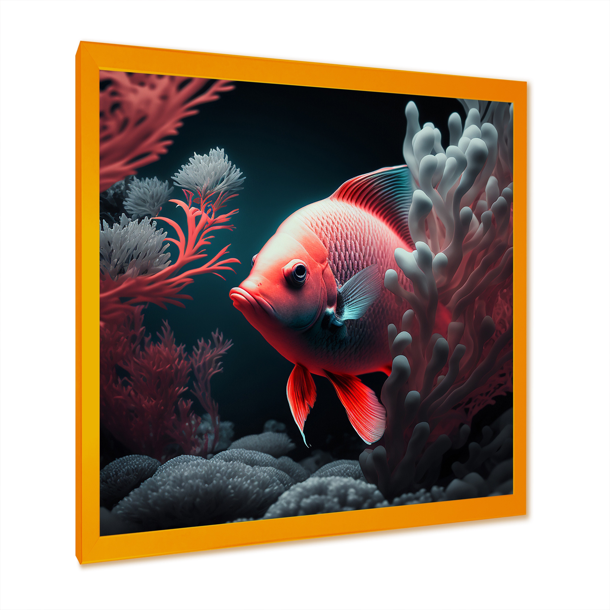 Tropical Fish Direct 3d mon