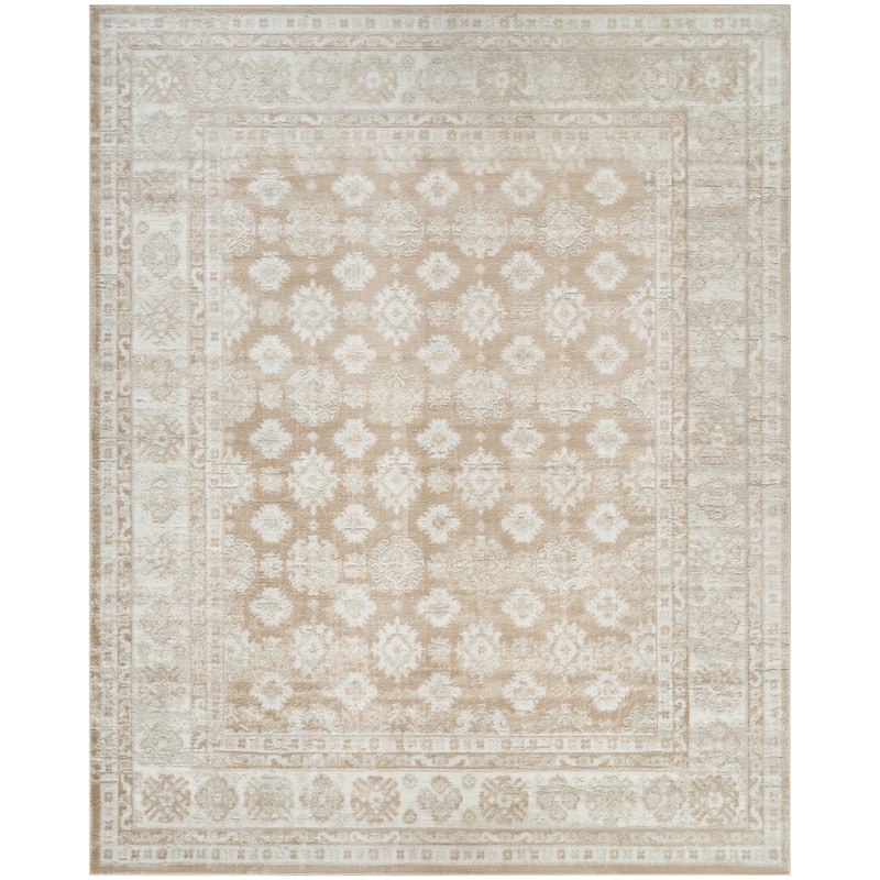 Nourison Dekor Indoor only Persian Area Rug
