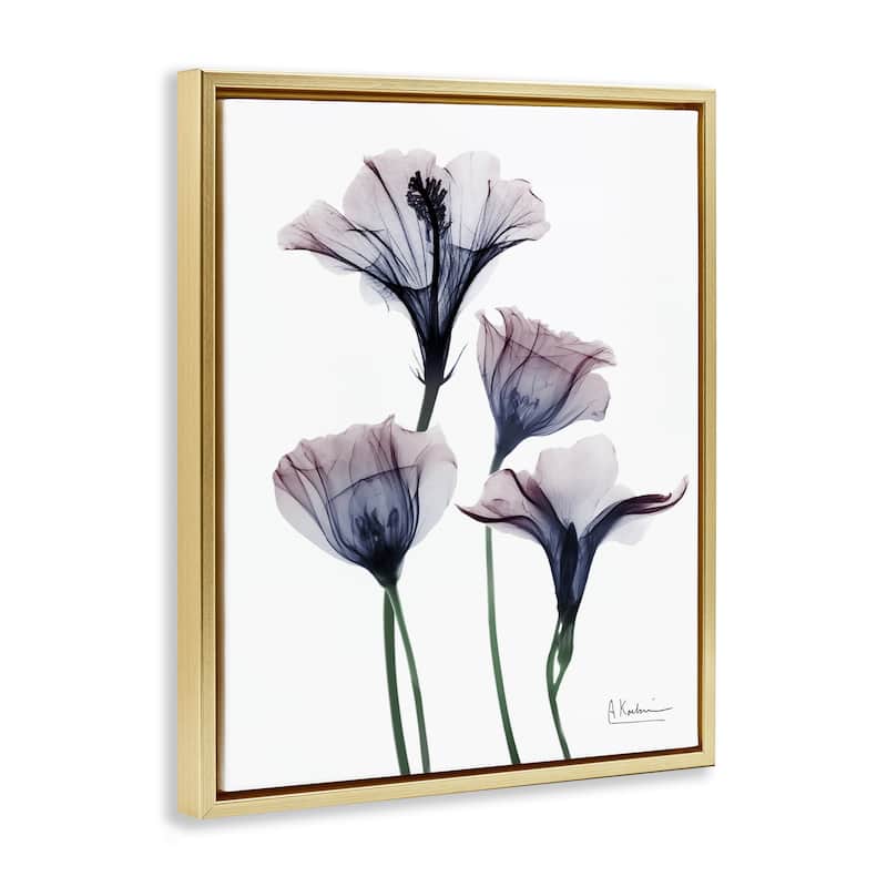 Stupell Bountiful Dusk Flowers Framed Floater Canvas Wall Art Design By Albert Koetsier