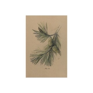 Evergreen collection I (20 x 30) Canvas Art Print - Bed Bath & Beyond ...
