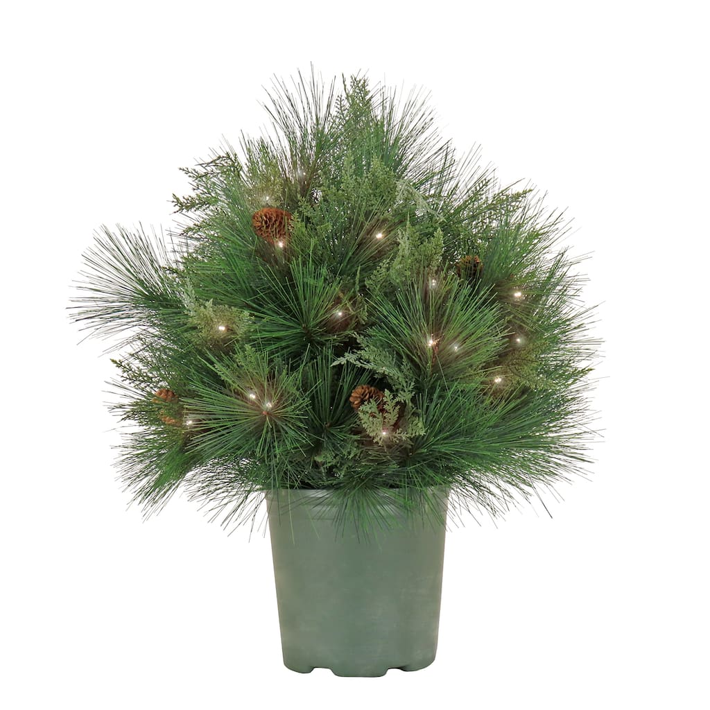 National Tree Company 5 ft. HGTV Home Collection Swiss Chic Swag, Blue,Champagne - 5 ft
