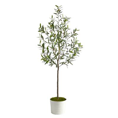 70" Olive Artificial Tree in White Tin Planter - 10"