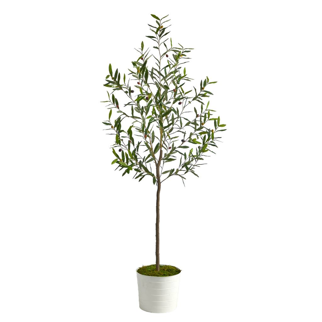 70" Olive Artificial Tree in White Tin Planter - 10"