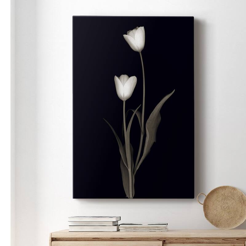 Tulip Pose II Premium Gallery Wrapped Canvas - Ready to Hang