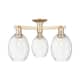 Option Champagne Bronze / Clear