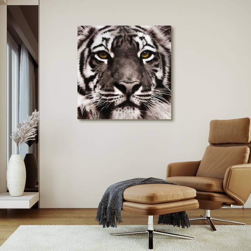"Eye of the Tiger" Frameless Free Floating Tempered Glass Panel Graphic Wall Art