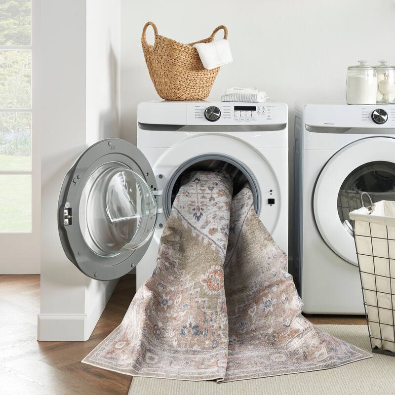 Nourison Astra Machine Washable Distressed Area Rug
