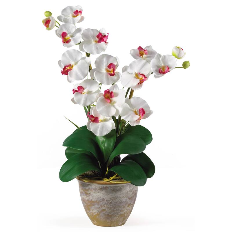 Silk Orchid Arrangement 25 Inch White Faux Orchid Plant with Ceramic Vase Home Decor