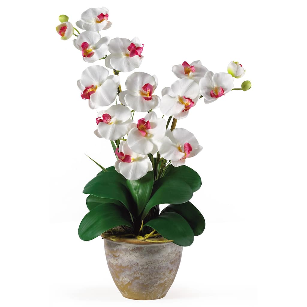 Silk Orchid Arrangement 25 Inch White Faux Orchid Plant with Ceramic Vase Home Decor