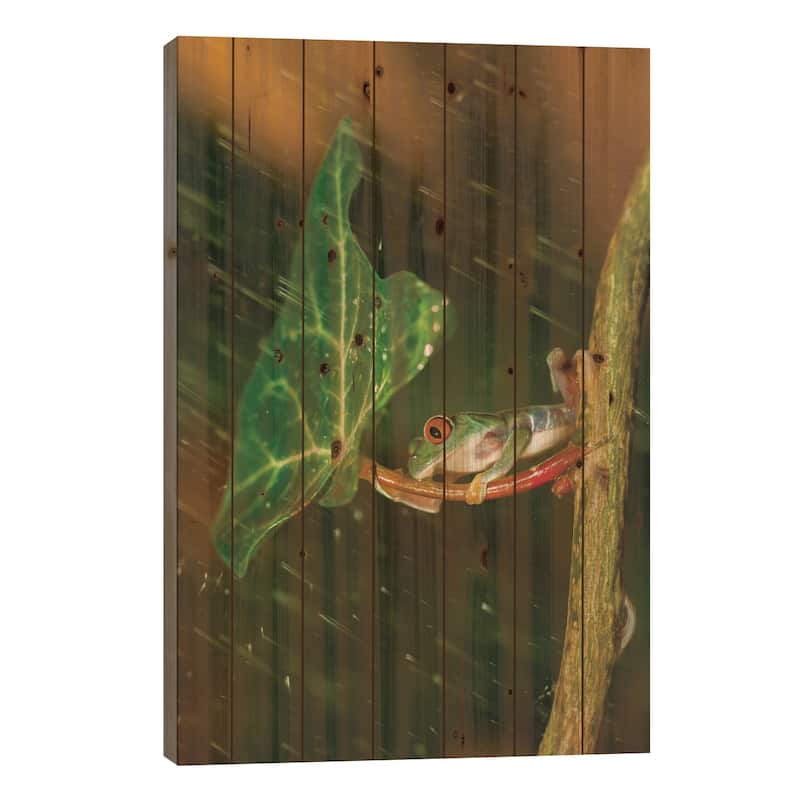 Ohh Noo … It's Raining Print On Wood by Kutub Uddin - Multi-Color - 26x40x1.5
