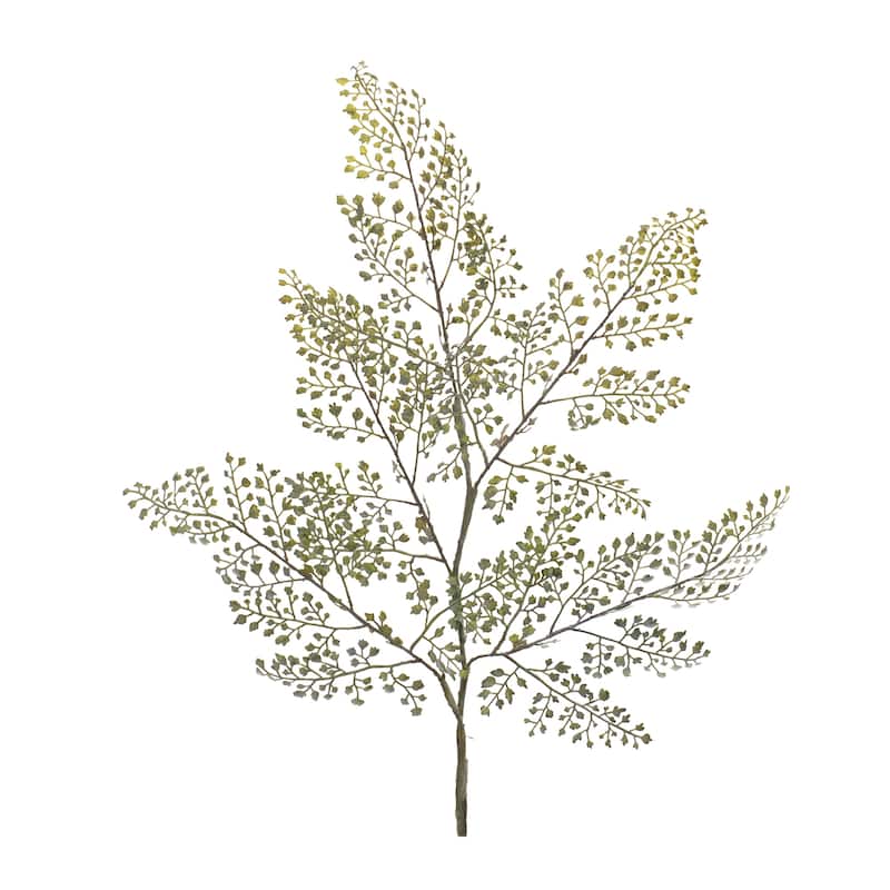 Maiden Hair Fern Spray (Set of 6)