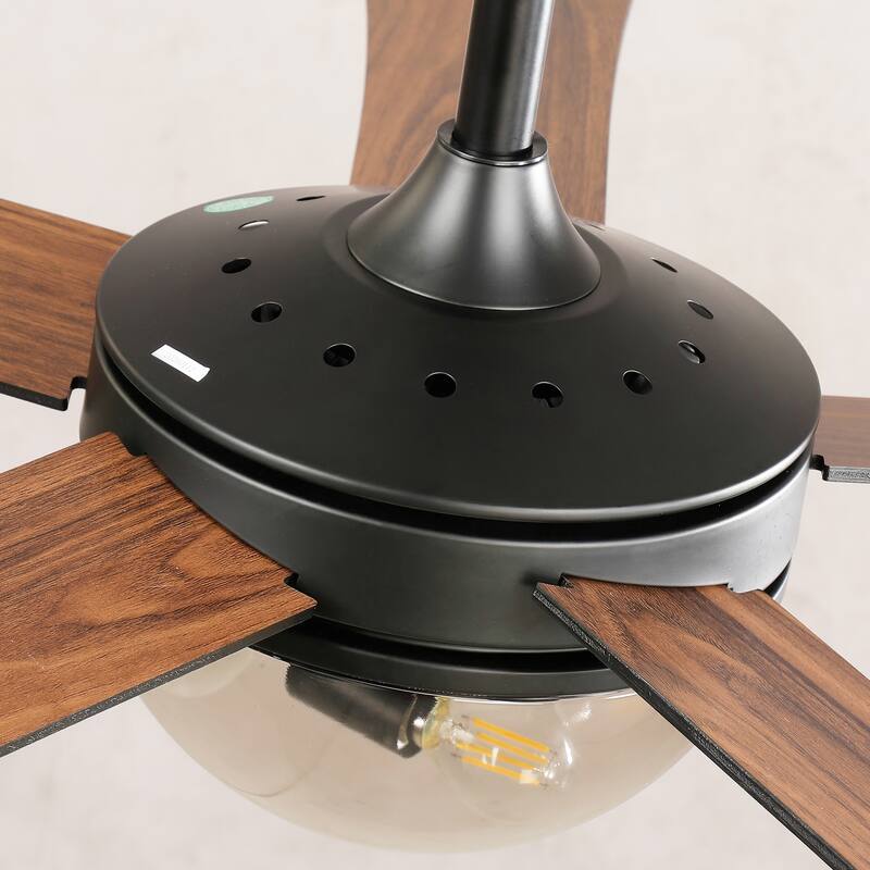52" Modern Matte Black 5 Reversible Blades Ceiling Fan with Light and Remote