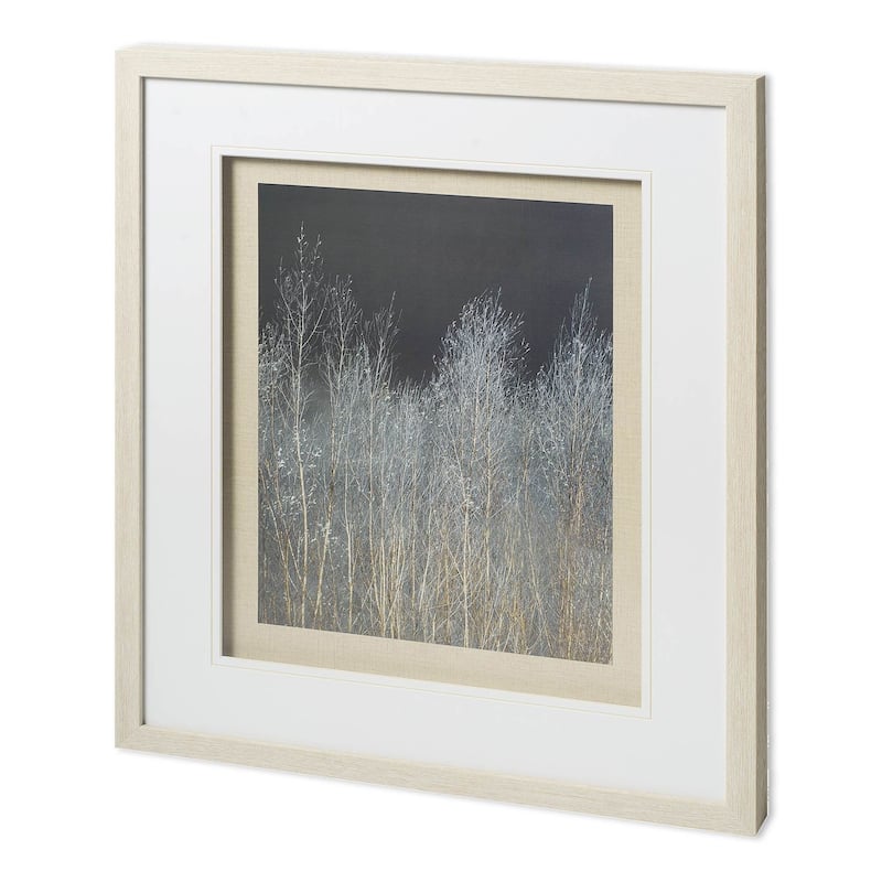 Silver Forest I Framed Art Print