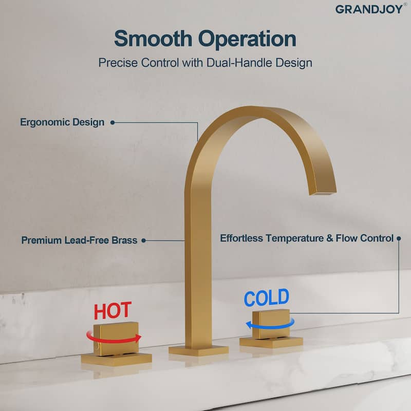 GRANDJOY High Arc Double Handle Bathroom Sink Faucet with Drain