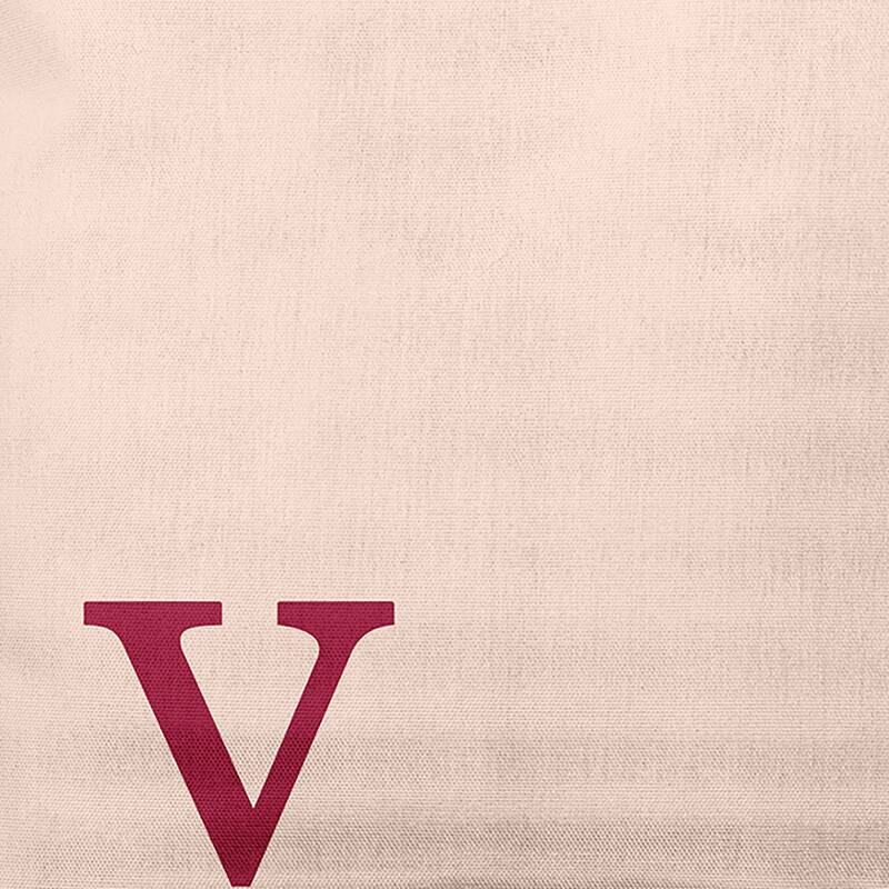 Modern Monogram Indoor/Outdoor Throw Pillow-V