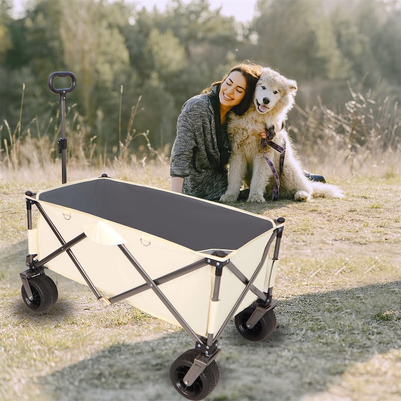 Folding Wagon - White