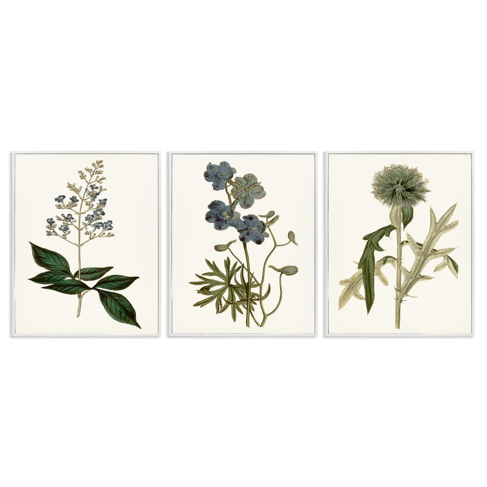 Stupell Vintage Blue Botanical Flowers on Beige, 3pc Multi Piece Framed Wall Art Set