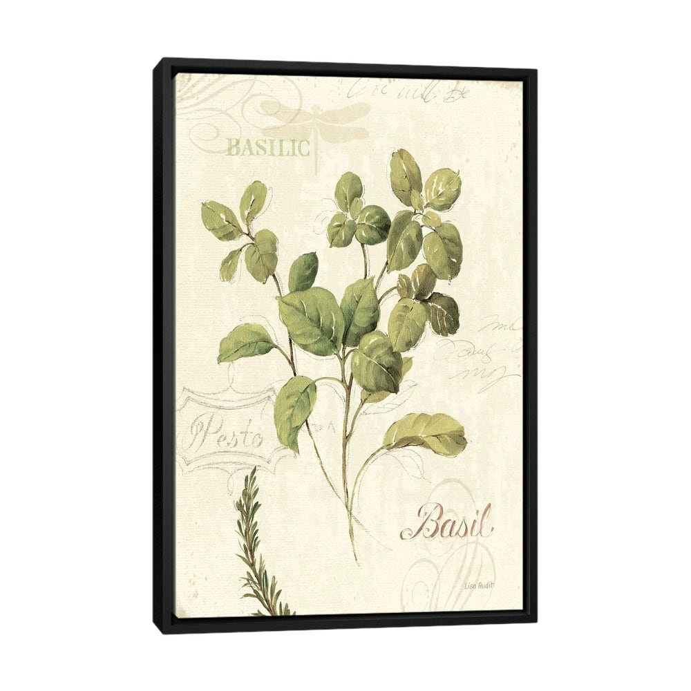 iCanvas "Aromatique III" by Lisa Audit Framed Canvas Print