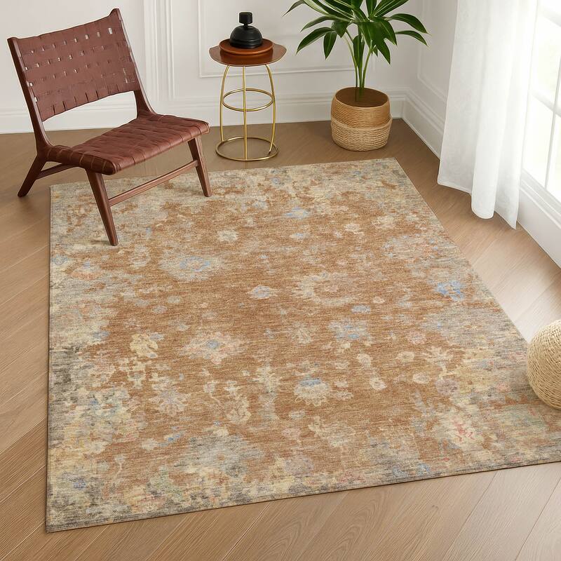 Machine Washable Indoor/ Outdoor Vintage Traditional Chantille Rug