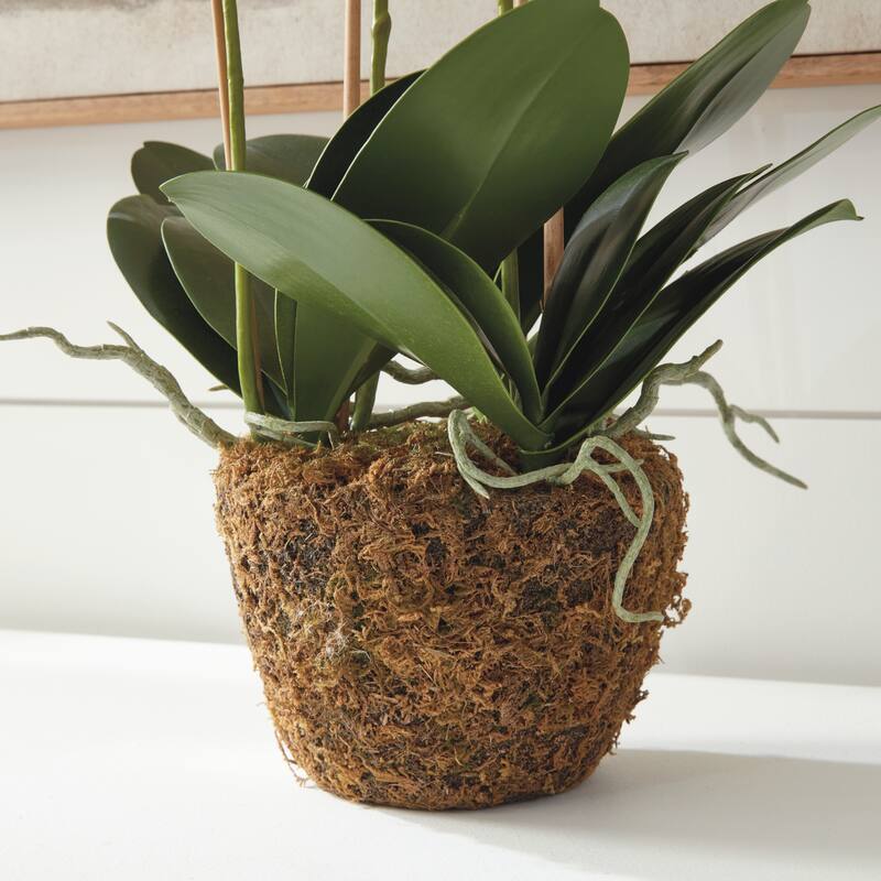 Hand-crafted Phalaenopsis Orchid 30 inch Tall Drop-In