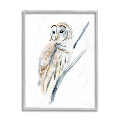 Stupell Soft Arctic Owl Perched on Minimal Branch Framed Wall Art