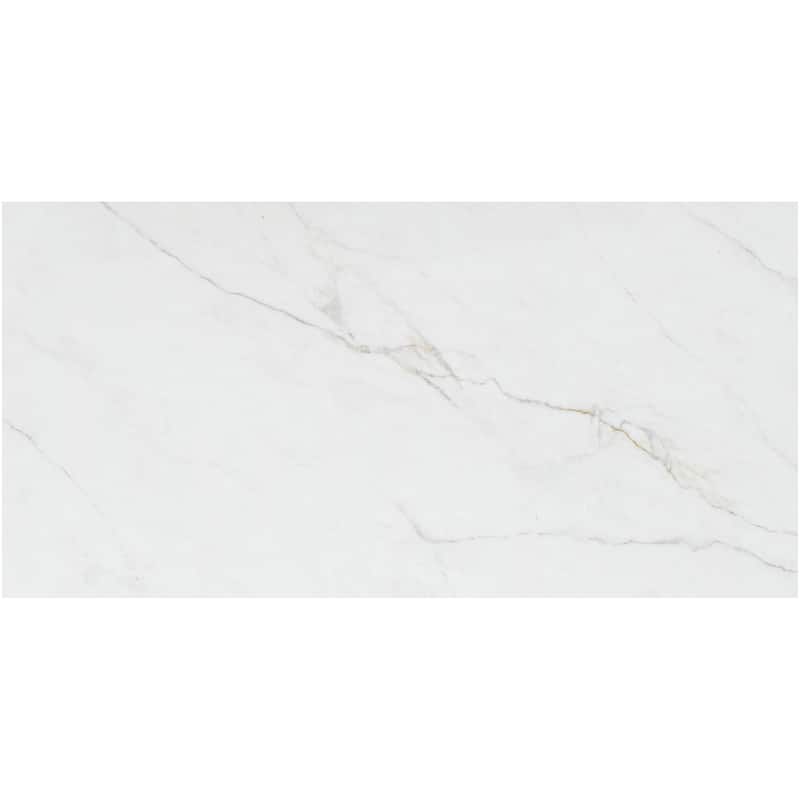 Ackland AKNPTLIN12X24G-CA Linea - 12" x 24" Ceramic Solid Floor and