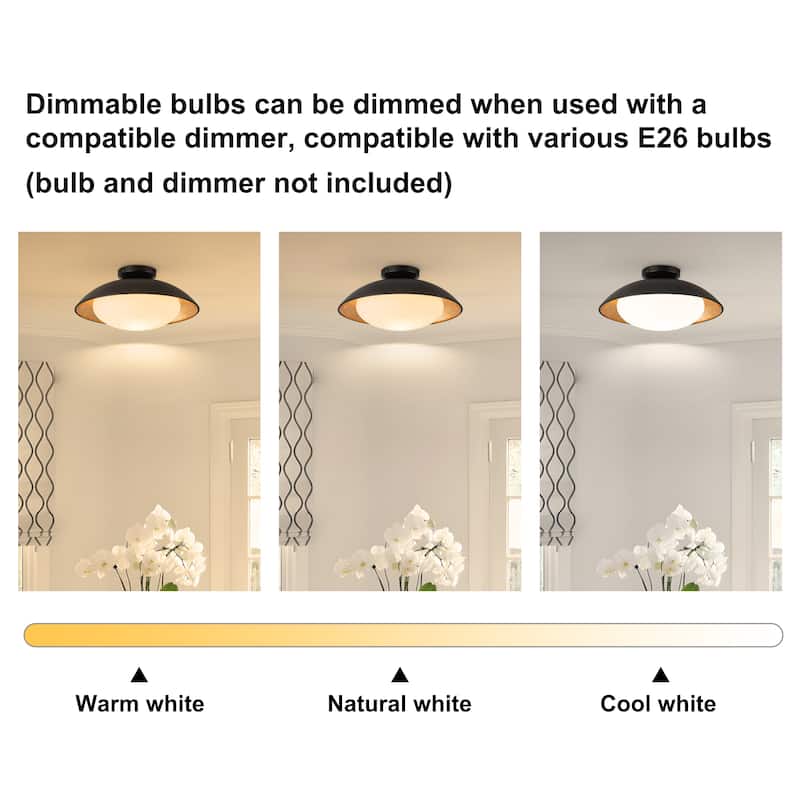 Starsky 1-light 15in. Bowl Ceiling Light Frosted Glass Shade Semi Flush Mount - Black