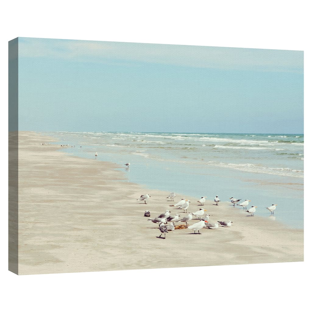 Padre Island Shore Birds by Danita Delimont Canvas Art Print