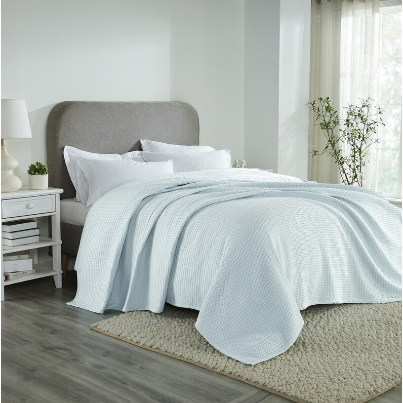 Soft Lightweight Breathable 100% Cotton T-Shirt by Better Trends  -image