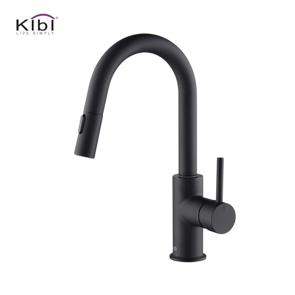 Single-Hole Pull-Down Kitchen Faucet with Sprayer and Magnetic Docking
