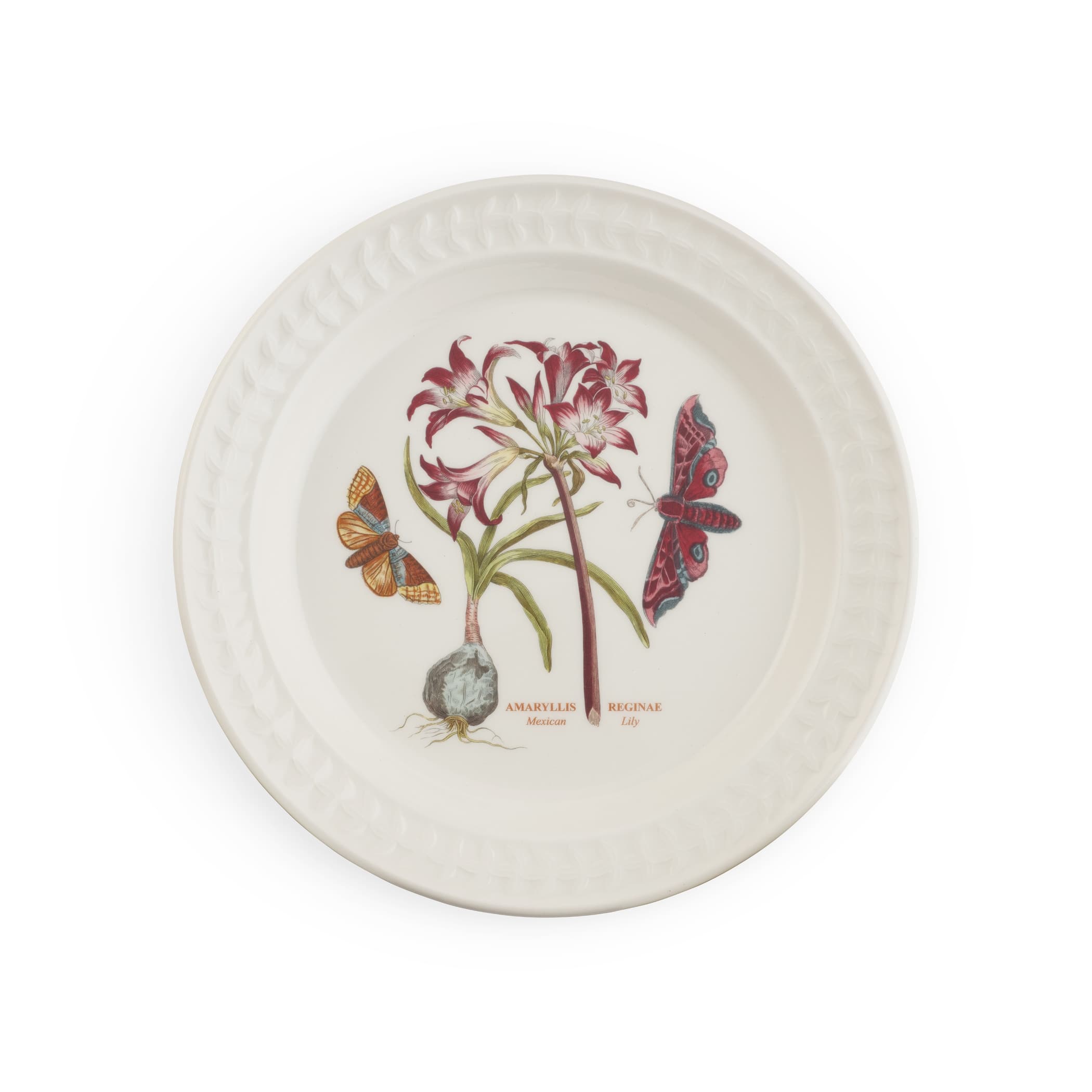 Option Papilio Opal (Mexican Lily)