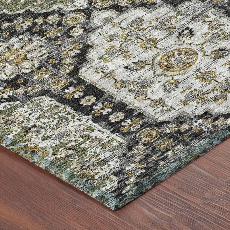 Machine Washable Indoor/ Outdoor Traditional Kiowa Chantille Rug