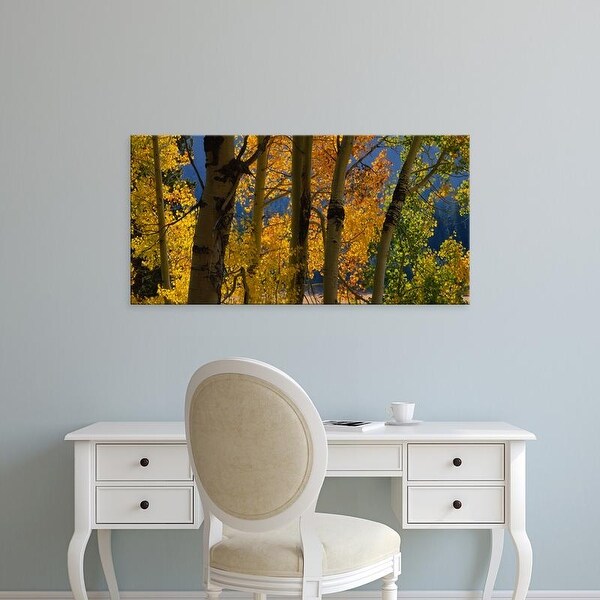 Easy Art Prints Panoramic Images's 'Close