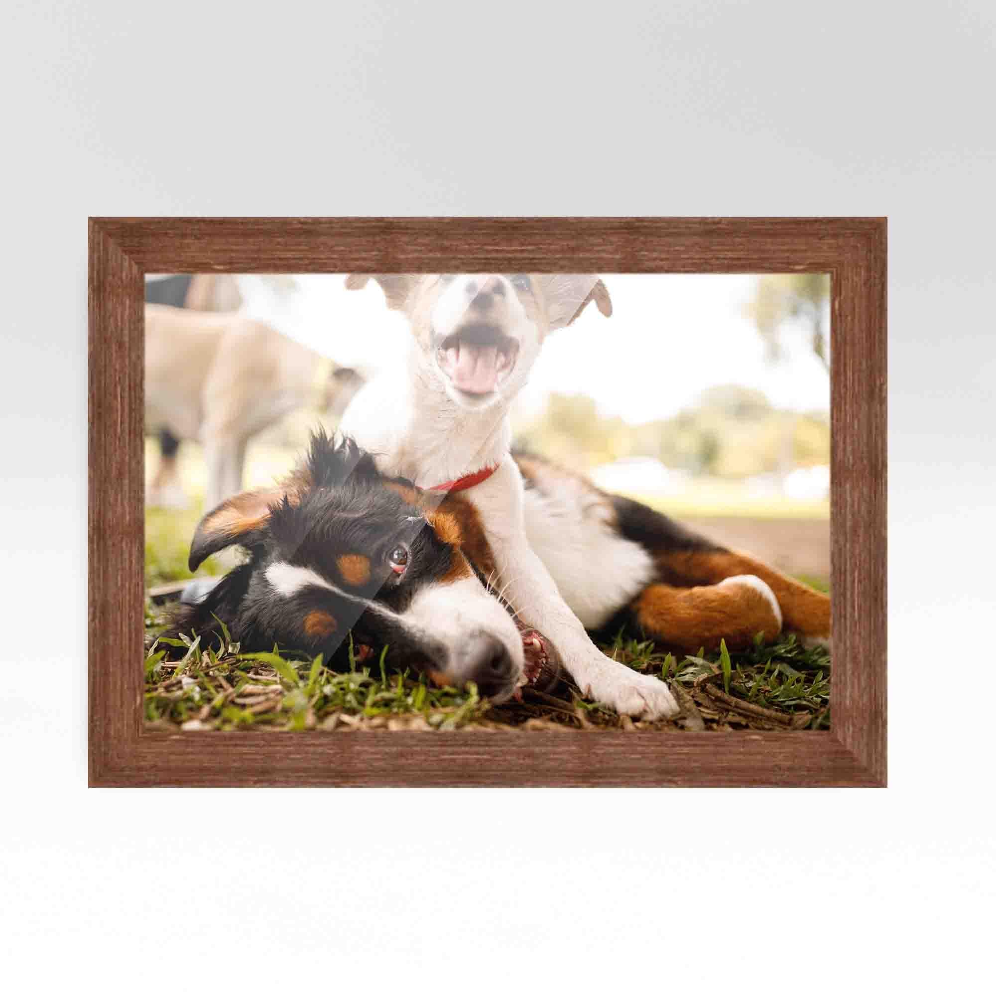16x24 Picture Frame - Rustic Picture Frame Complete With UV