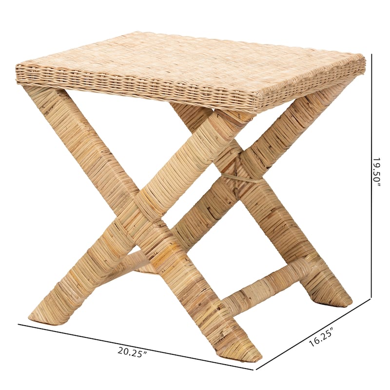 Farica Modern Bohemian Natural Rattan And Mahogany Accent Bench