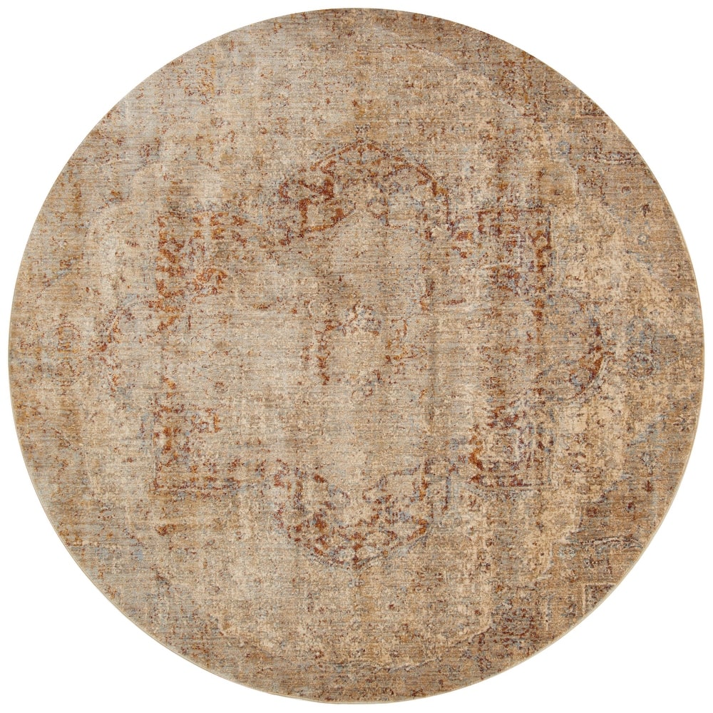 Alexander Home Contessa Traditional Medallion Desert Distressed Rug