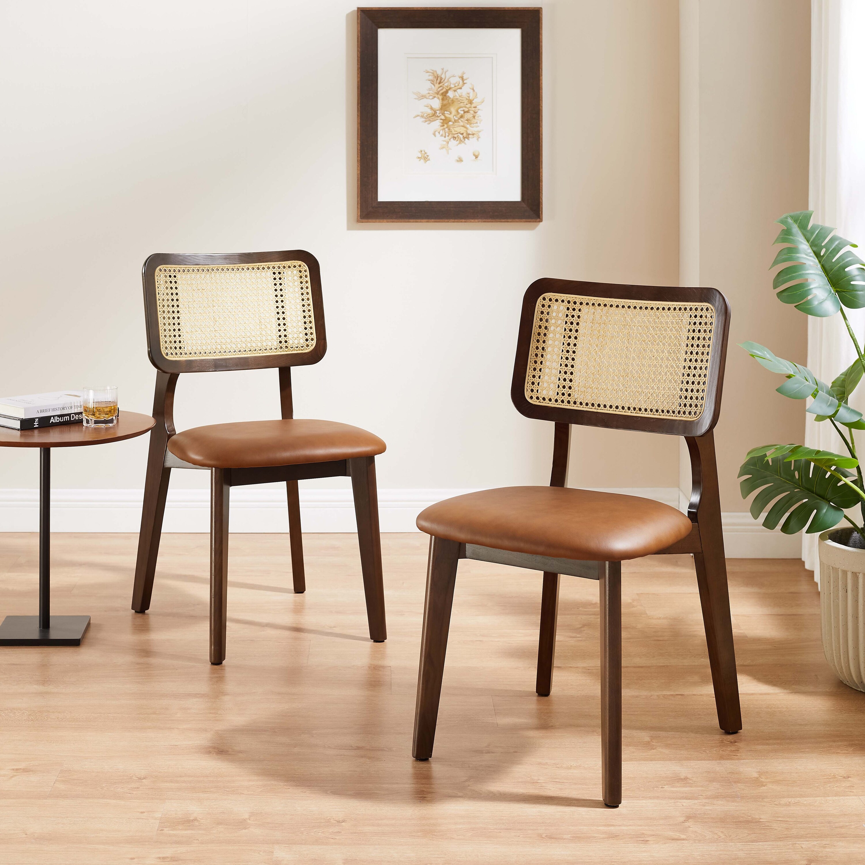 Cane and leather dining chair store