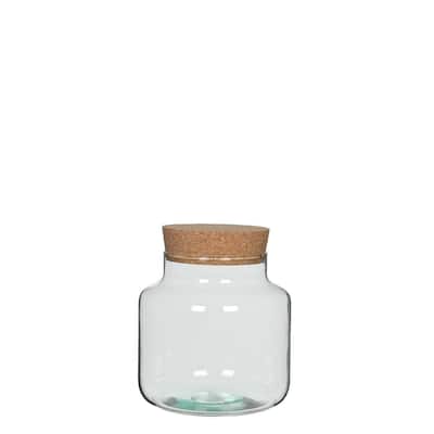 Chela Small Storagepot Transparent - ST - Transparent