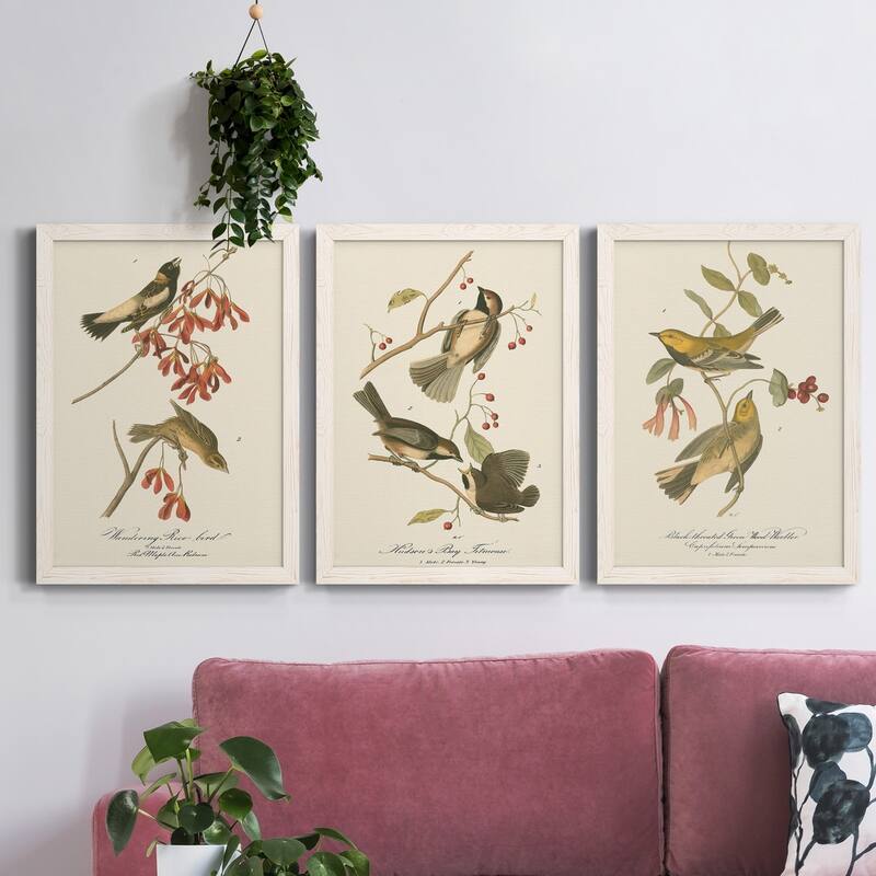 Wandering Rice Bird-Premium Framed Canvas - Ready to Hang - Multi-Color