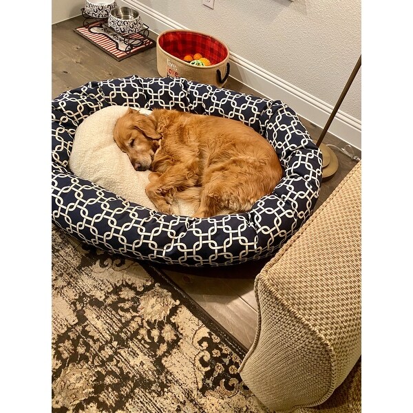 tuesday morning dog beds