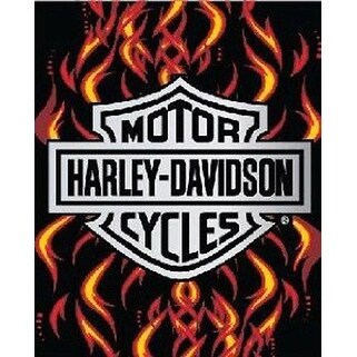 Licensed Harley Davidson Motor Cycles Bath Beach Towel 54X68 SOA