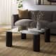 SAFAVIEH Couture Robbie Square Glass Coffee Table - 36"W x 36"D x 15"H - Black