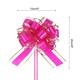 Option Rose Red