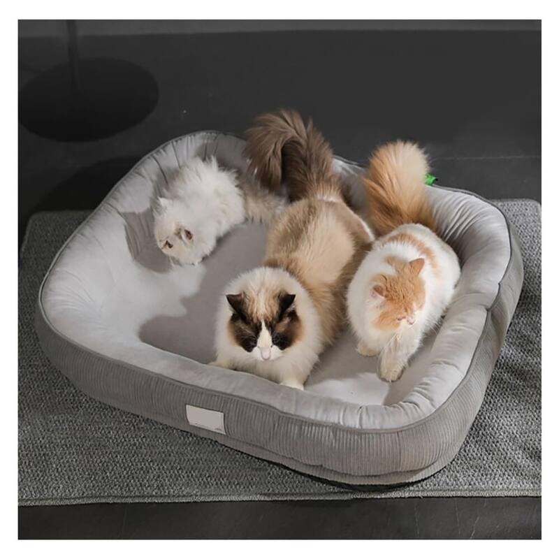 Pet Bed for Small to Medium Dogs and Cat - 38"x28"