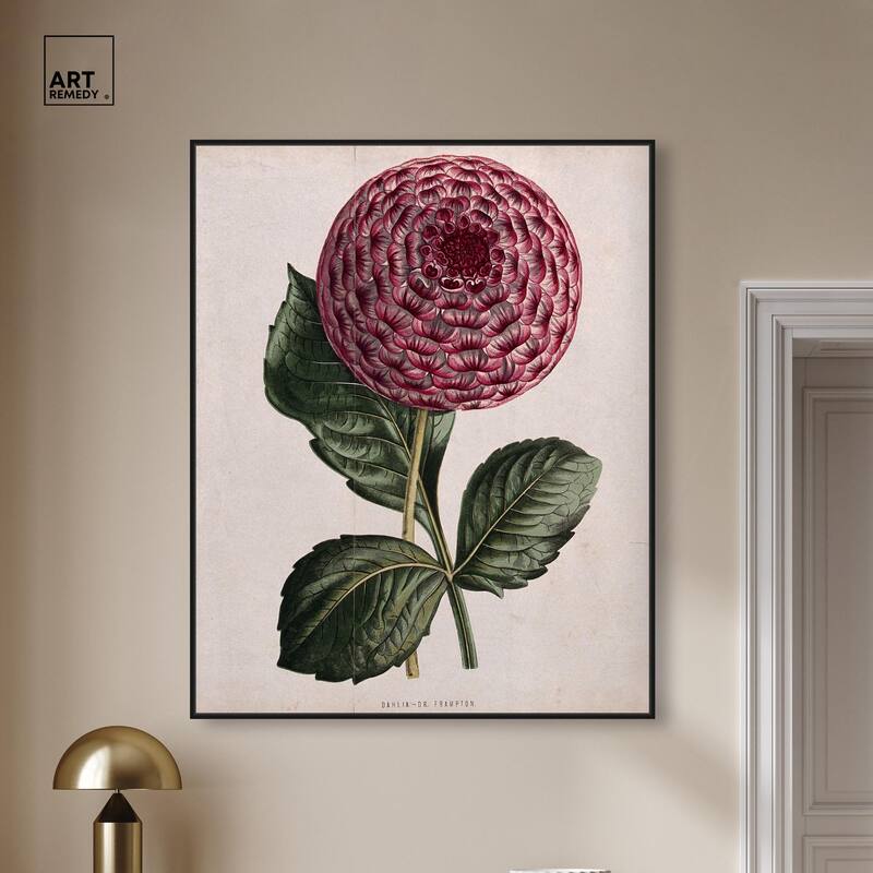 A dahlia Canvas by Art Remedy