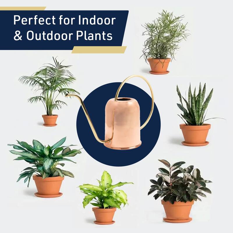 48oz Long Spout Copper Watering Can for Indoor Plants