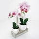 preview thumbnail 16 of 20, Artificial Phalaenopsis Orchid Flower Arrangement in White Pot 13in