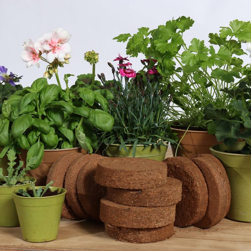 Dallas Esprit Indoor Ceramic Plant Pot Kit with Soil Tools Moisture Meter and Plant Caddy - 11" Dia